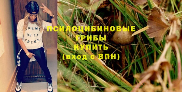 шишки Волосово