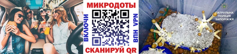 Купить закладки  Канаш  Галлюциногенные грибы Magic Shrooms 