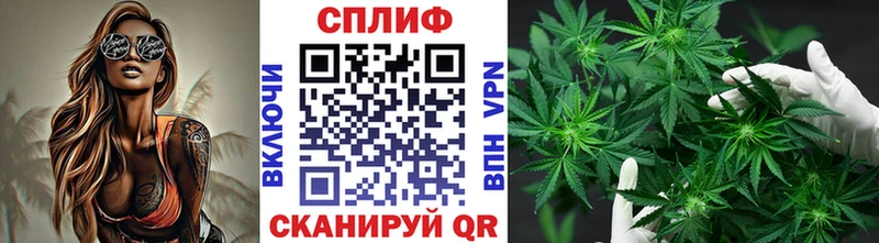 Купить закладки  Канаш  Шишки марихуана MAZAR 